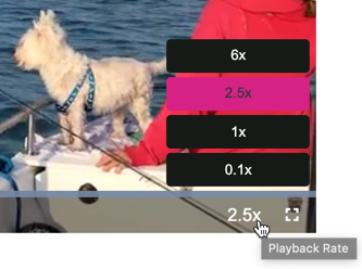 playback rates ui